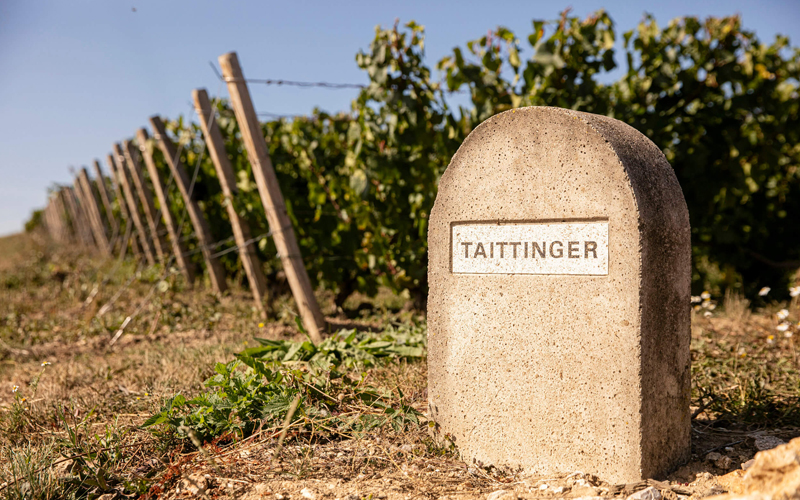 Champagne Taittinger Champagne Taittinger